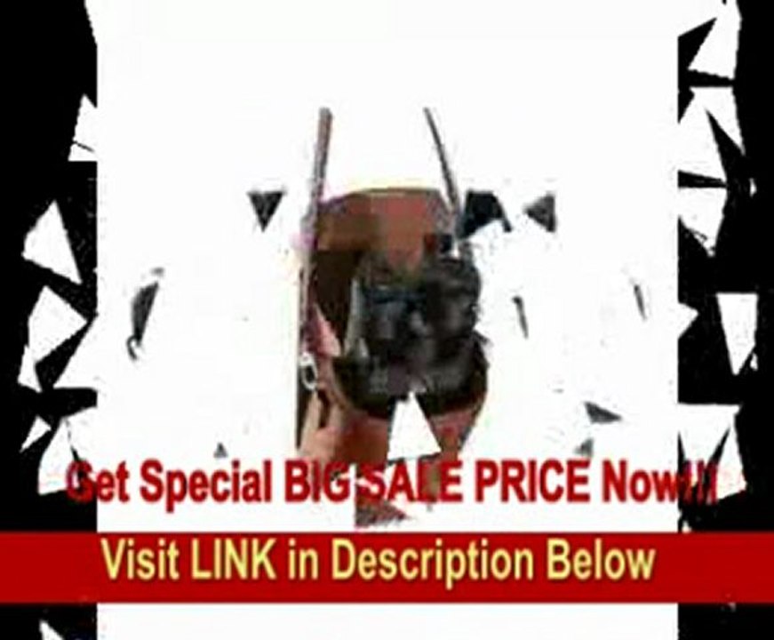 Leica 10x25 BCL Ultravid, Compact Water Proof Roof Prism Binocular with 5.2 Degree Angle of View, Black Leather, with Brown Leather Case.