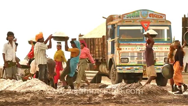 1991.Salt workers loading salt into truck in Rann of Kutch.mov