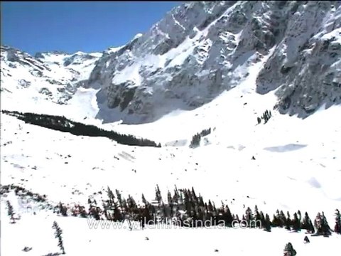 2006.The land of snowy mountains - Himachal Pradesh.mov