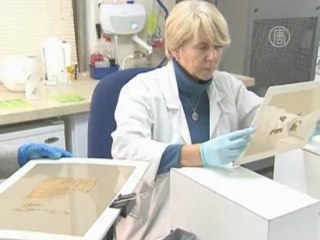 Свитки Мертвого моря выложили в Интернет