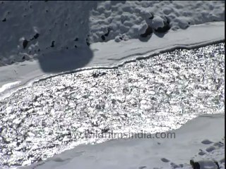 2088.Himalayan fox crosing the Zanskar.mov