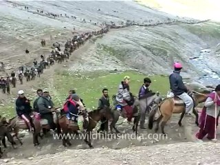 2224.Amarnath yatra trek.mov