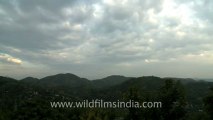 2236.Monsoon clouds in the mountains of Kamakhya.mov