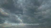 2237.Monsoon clouds come rolling in over India!.mov