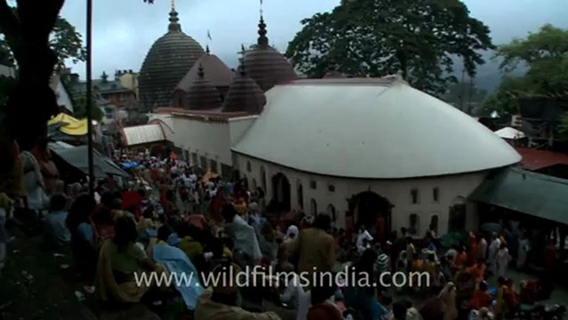 2241.Goat sacrifice at Lamakhya temple.mov