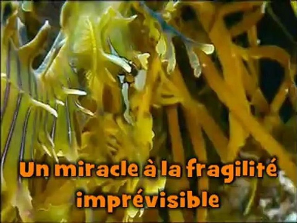 Film pour la paix par Jésus Christ dans le saint esprit de Dieu