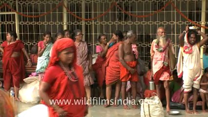 2302.Baba with long hair at Kamakhya temple.mov