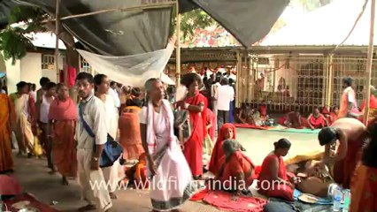 2304.Baba with long hair at kamakhya temple, Guwahati.mov