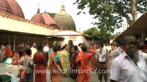 2308.Crowd at Kamakya temple in fast motion.mov