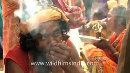 2313.Couple of baba smoking chillum in Ambubachi mela.mov