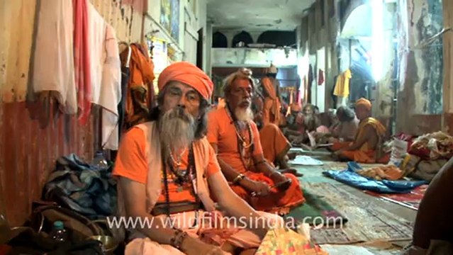 2322.Group of sadhu baba resting at Kamakhya.mov