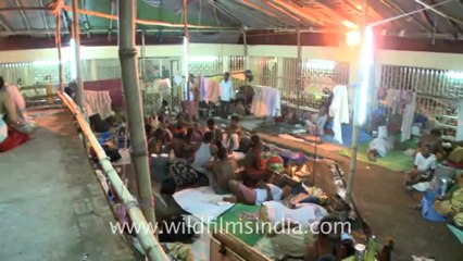 2331.Aghori baba relaxing in the ambubachi mela of Guwahati.mov