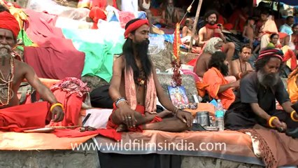 2342.Sadhu babas relaxing.mov