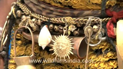 2348.Boy in lord Shiva's costume.mov
