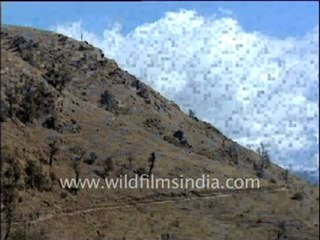 236.Trekking in Nepal Himalayas.mp4