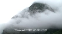 2374.Clouds cover the high mountains of Garhwal!.mov