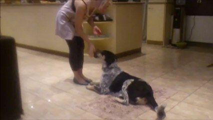 Resaults of Shaping Training