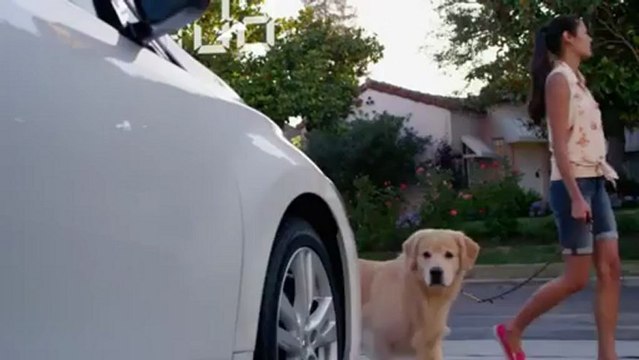 Best Nissan Dealer Shelton, WA | Nissan Dealership Shelton, WA