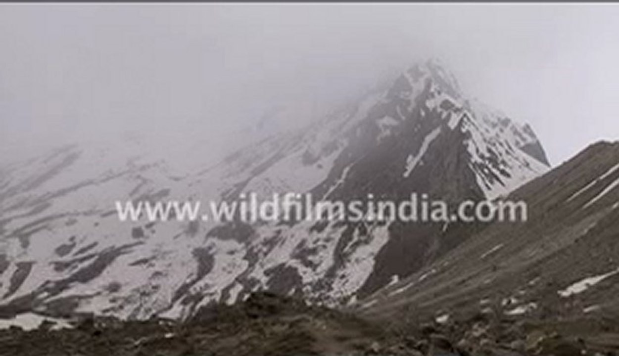 Clouds and mountains, Gaumukh region…