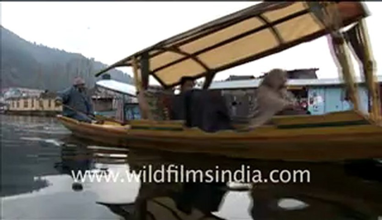 Dal lake in Srinagar