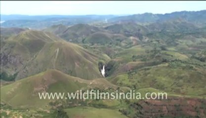 Footage  of rain forest and clouds