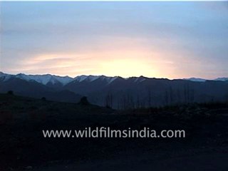 2727.Lone horseman along the road to Leh!.mp4