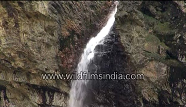 2728.Waterfall in Jallandhri Garh, Uttarakhand.mp4