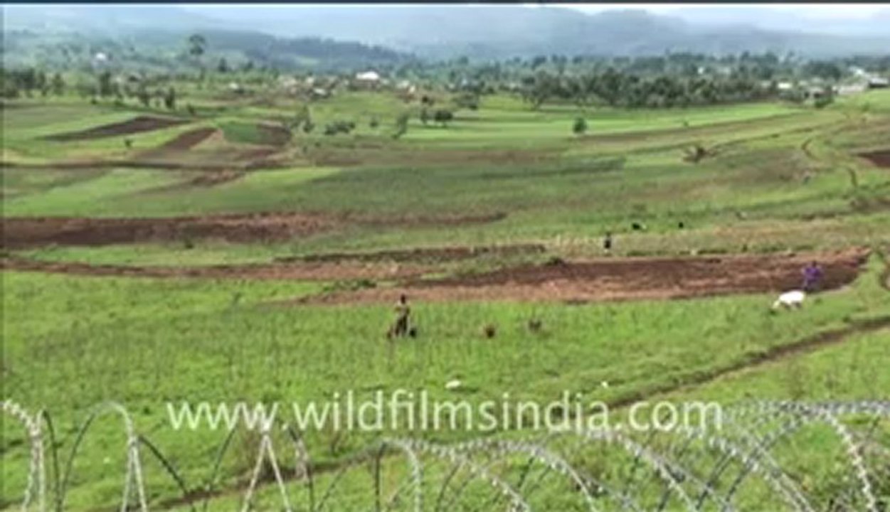 Congo or erstwhile Zaire