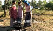 2755.Kala Apong (Rice Beer).mp4