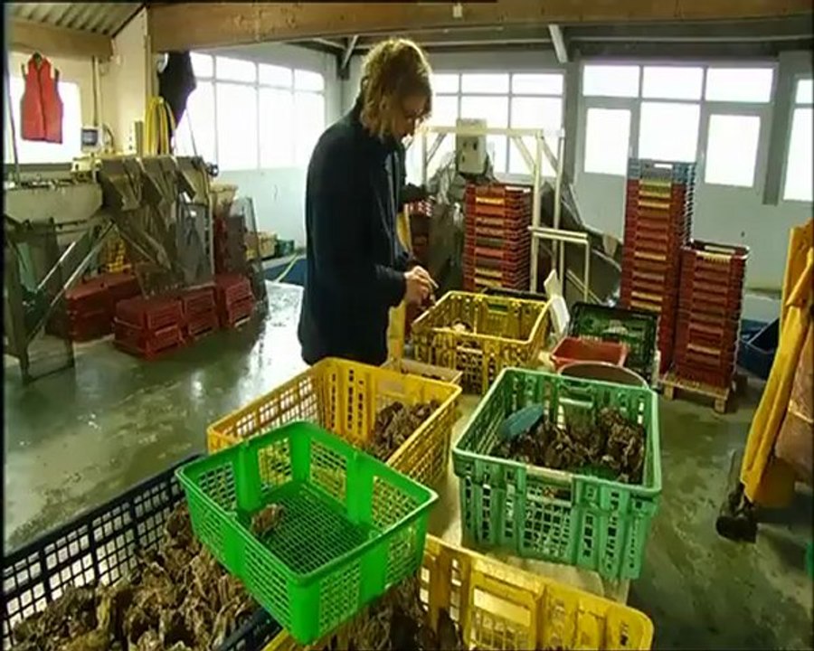 Rush sur les huîtres