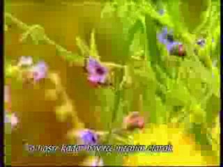 DoGuPaNeL.CoM DOGU PANEL