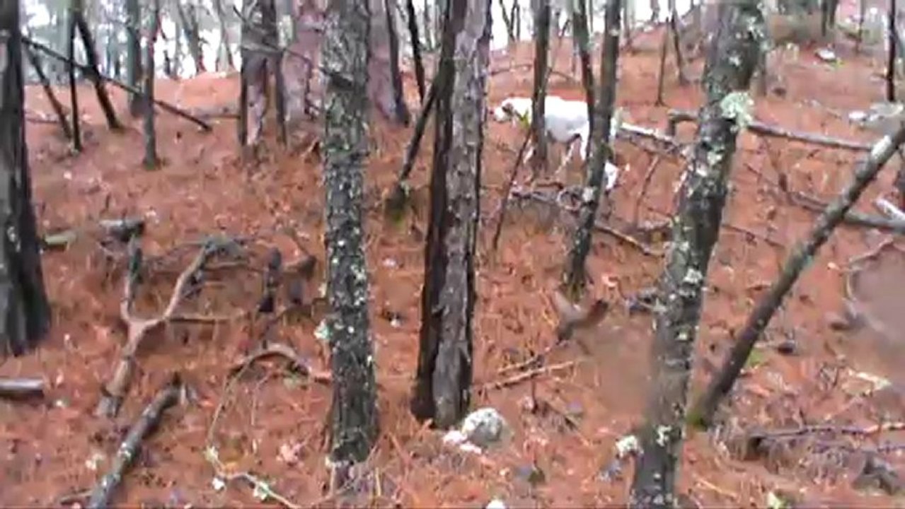 ŞİLA ÇULLUK  PROF. 3