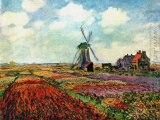 Enjoy famous oil paintings by Monet and Van Gogh