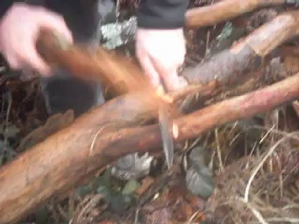 mes video dans les bois 009