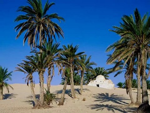 Janeman - Aryan (Mustafa Dinç)