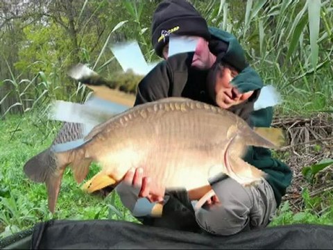Big Carp: appâts HYBRID