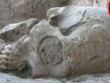 1000 Year Old Oblong Skulls Unearthed in Mexico