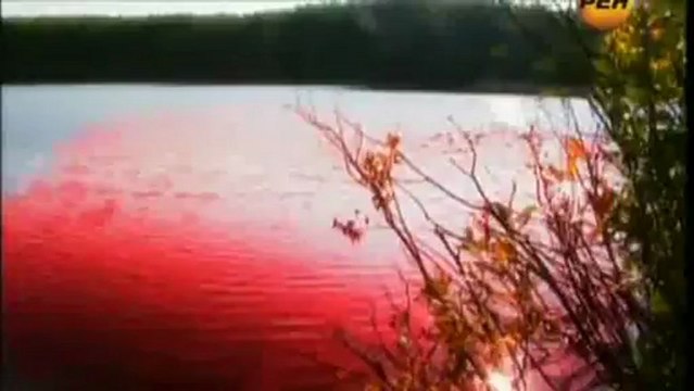 Загадки Вселенной - 2012. Великий скачок - часть 2