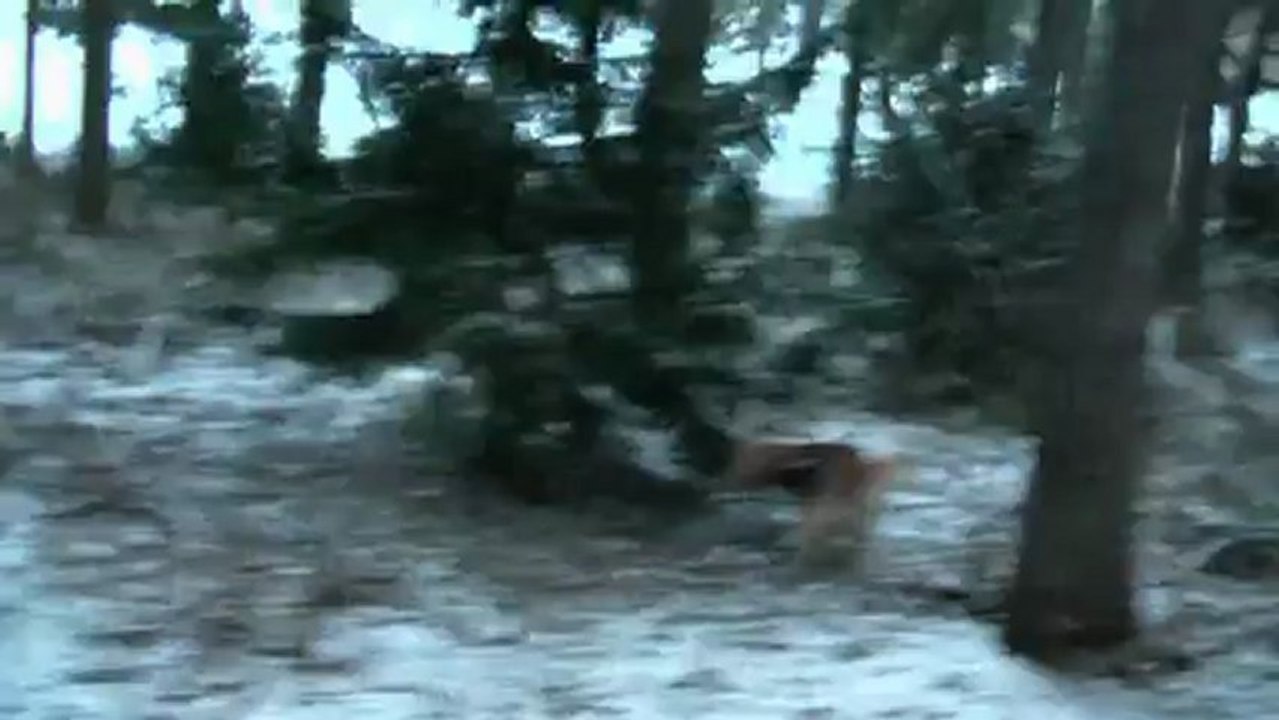 unterwegs mit dem Radel