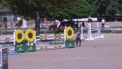 GP130 barbizon qualitée michel