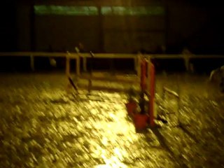 Lucile & Toscane, Poney 1, Quimper