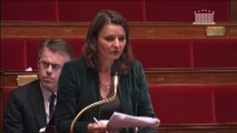 TVA sur le Bois Energie - Défense des amendements PLFR 2012 - nouvelle lecture - Assemblée Nationale