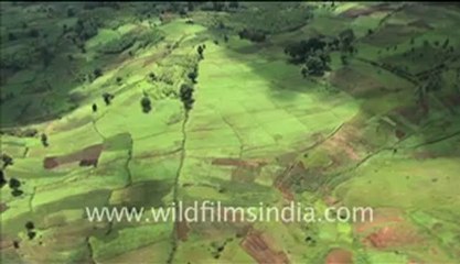 Aerial Footage of Congo