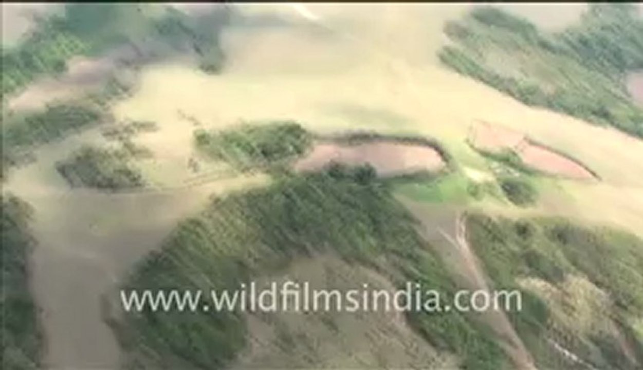 Aerial shots of Congo