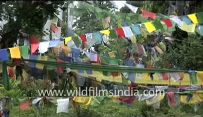 329.Prayer Flags in Thimphu.mp4