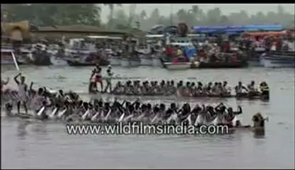330.Snake Boat Race.mp4