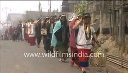 March of the Apatani women!