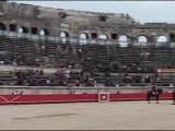 La crise prive les ferias d’une corrida (Nîmes)