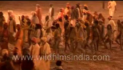 Buck naked Naga sadhu (saints of India)