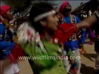 Traditional dance in Surajkund Mela